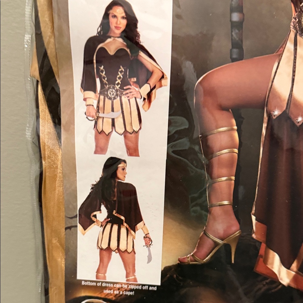 Dreamgirl Trojan Warrior Time Period Halloween Costume Adult Size Large - Picture 3 of 8